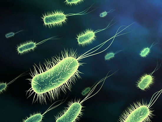 najlepsze probiotyki tylko w sklepie drlucas.com.pl